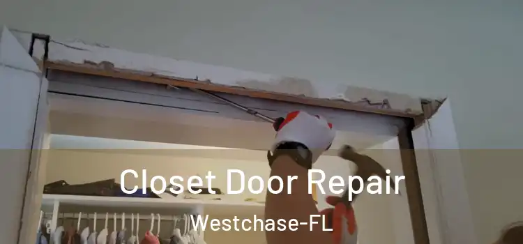  Closet Door Repair Westchase-FL
