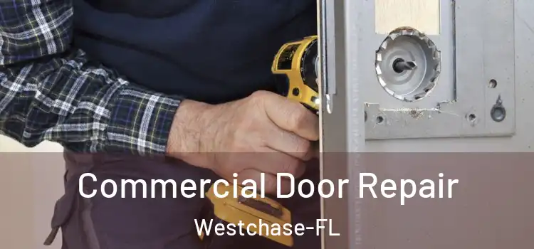  Commercial Door Repair Westchase-FL