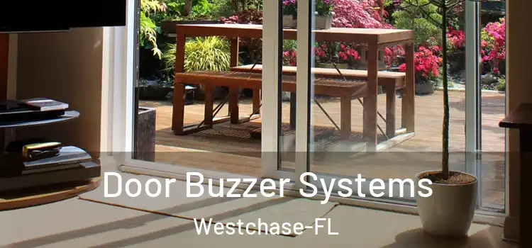  Door Buzzer Systems Westchase-FL