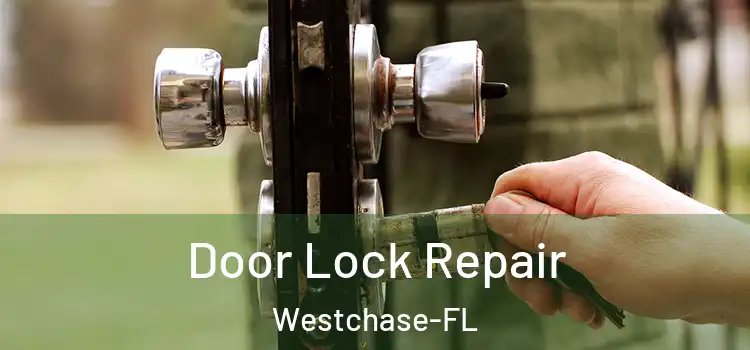  Door Lock Repair Westchase-FL