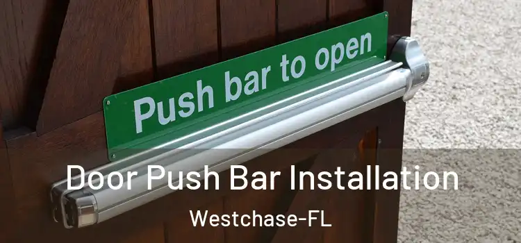 Door Push Bar Installation Westchase-FL