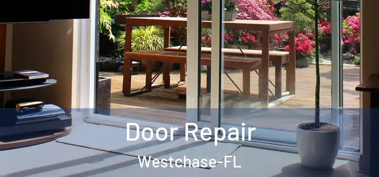  Door Repair Westchase-FL