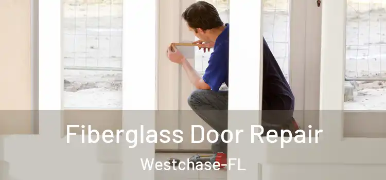  Fiberglass Door Repair Westchase-FL