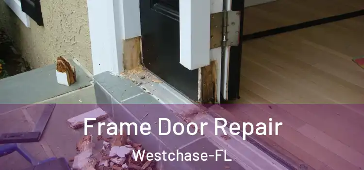  Frame Door Repair Westchase-FL