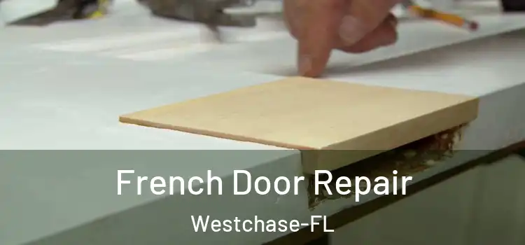  French Door Repair Westchase-FL