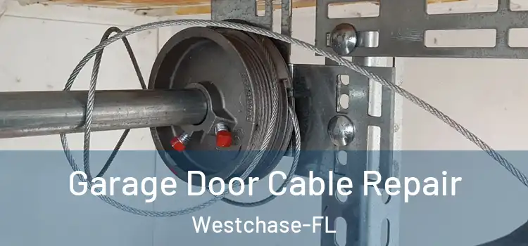  Garage Door Cable Repair Westchase-FL