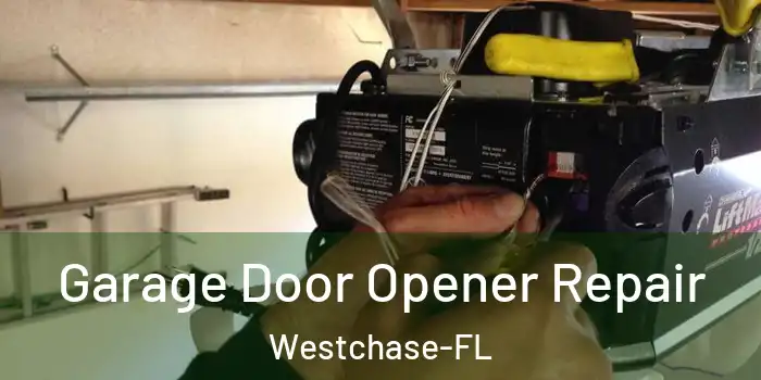  Garage Door Opener Repair Westchase-FL