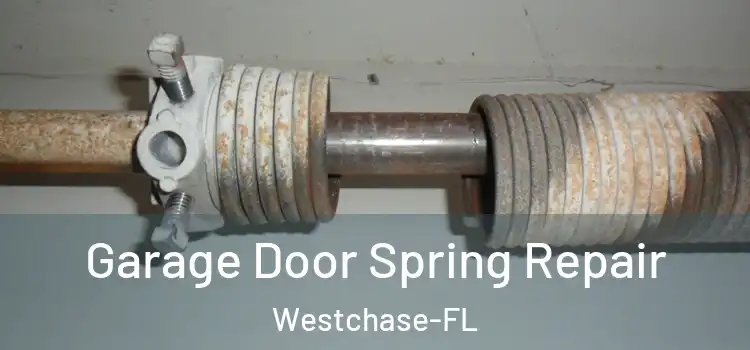  Garage Door Spring Repair Westchase-FL