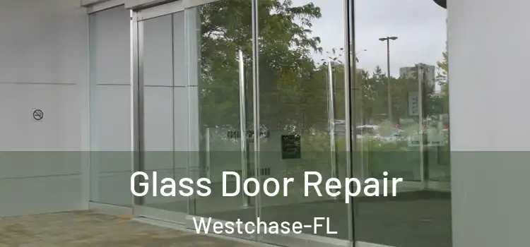  Glass Door Repair Westchase-FL