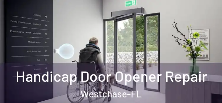  Handicap Door Opener Repair Westchase-FL