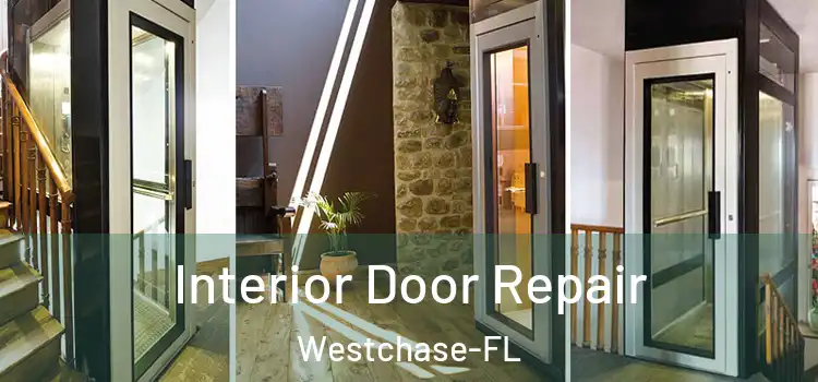  Interior Door Repair Westchase-FL