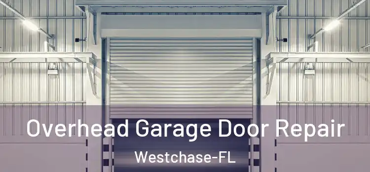  Overhead Garage Door Repair Westchase-FL