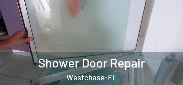  Shower Door Repair Westchase-FL
