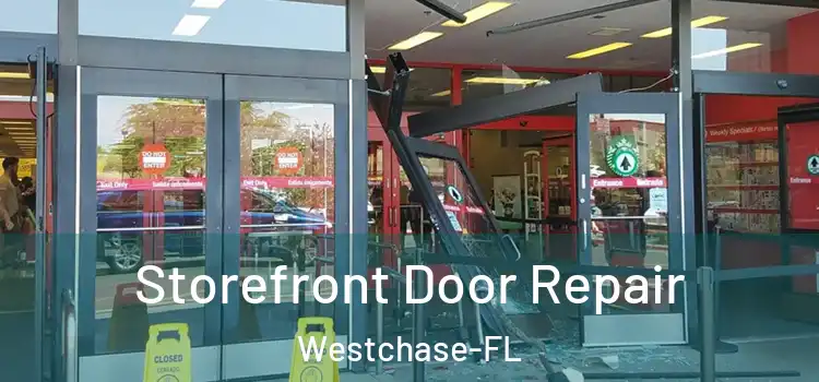  Storefront Door Repair Westchase-FL